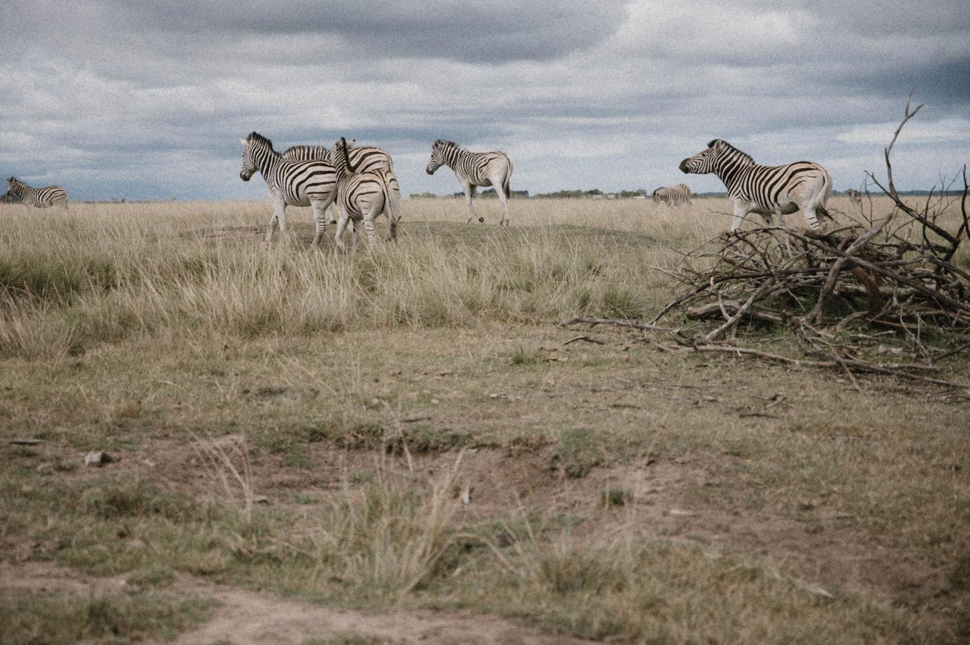 Belle Balance Bush Lodge Плеттенберг-Бей Екстер'єр фото