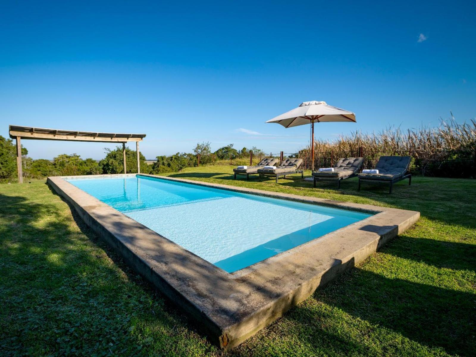 Belle Balance Bush Lodge Плеттенберг-Бей Екстер'єр фото